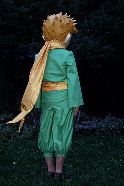 Le Petit Prince Costume 